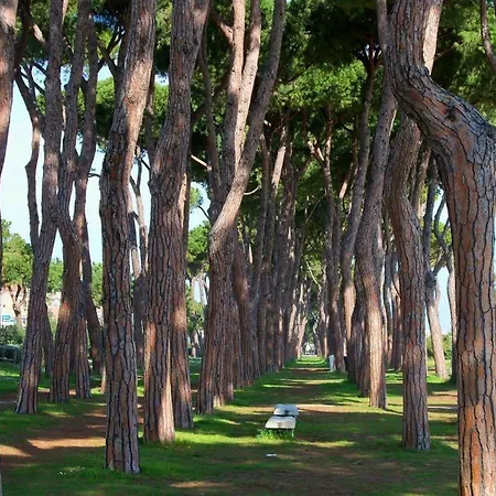 Bay A8 - Appartement Pineto