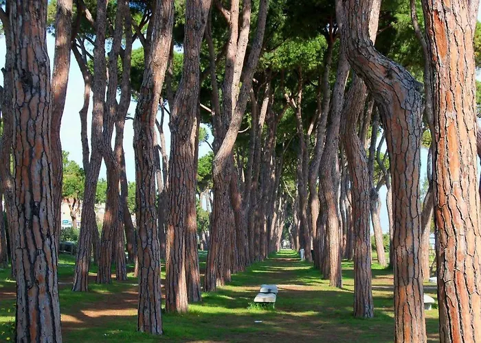 Bay A8 - Апартаменты Пинето